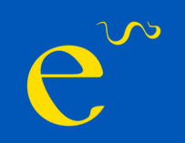 На платформе eˉlektron можно познакомиться с современным украинским кино и поддержать жителей Украины